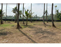 Residential Land for Sale in Padiyoor, Irinjalakkuda