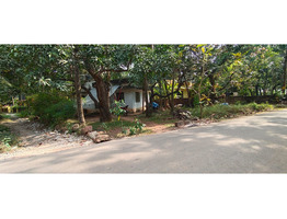 10 cents land with old house sale at  Payyannur, kannur