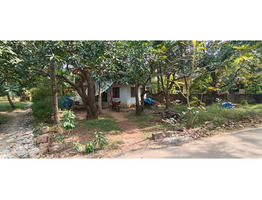 10 cents land with old house sale at  Payyannur, kannur
