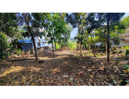 15.5 CENT LAND  SALE AT  Hill Palace, Thripunithura