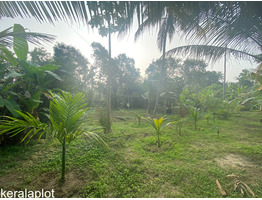 56 cent land sale at cheenakuzhi, Thrissur
