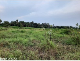 Residential Plot at Kanjicode East