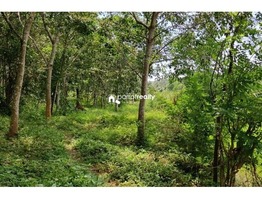 Farm Purpose land Available in Wayanad……