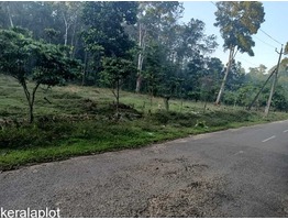 1 Acre for sale (with or without plots) P.P Road Pala