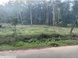 1 Acre for sale (with or without plots) P.P Road Pala