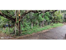 Residential 30 cents land for sale near vakkanad GHSS School in Kollam