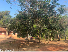 90 cent land for sale at kannanallur, kollam