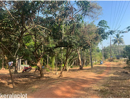 90 cent land for sale at kannanallur, kollam