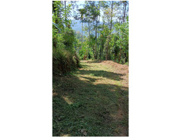 3 acre Land for sale at Idukki Nedukandam