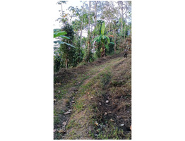 3 acre Land for sale at Idukki Nedukandam