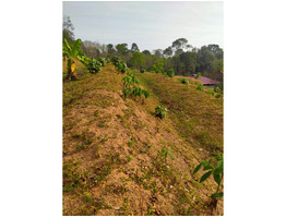 50 to 80 cents fertile land  for sale