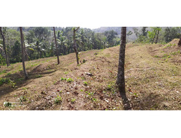 70 cent residential land for sale at cheppara, kollam