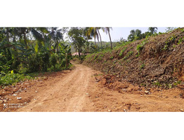 70 cent residential land for sale at cheppara, kollam