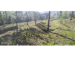 70 cent residential land for sale at cheppara, kollam