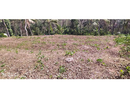 70 cent residential land for sale at cheppara, kollam