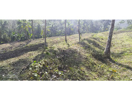 70 cent residential land for sale at cheppara, kollam