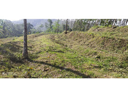 70 cent residential land for sale at cheppara, kollam