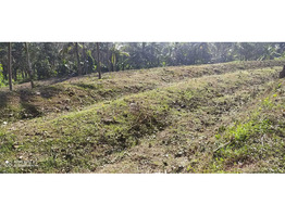 70 cent residential land for sale at cheppara, kollam