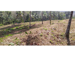 70 cent residential land for sale at cheppara, kollam