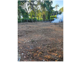 14 cents house plot for sale at  Charummood junction, Alappuzha