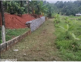 49 Cents of Residential Land for Sale at Kanjikuzhy, Idukki