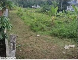 49 Cents of Residential Land for Sale at Kanjikuzhy, Idukki