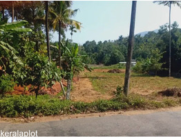 49 Cents of Residential Land for Sale at Kanjikuzhy, Idukki