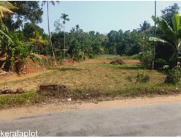 49 Cents of Residential Land for Sale at Kanjikuzhy, Idukki