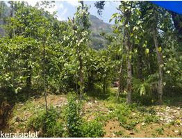 1 acer 47 cent land for sale at Munnar, Idukki