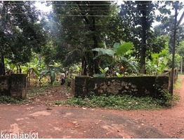 Residential Land at Manjakall, Cherupalassery