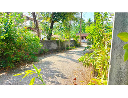 20 cent land with 1290 sqft and 680 saft houses for sale at Nooranad, Alappuzha
