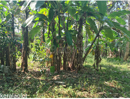 38 cent land with house for sale at near Chithra Hospital, Pathanamthitta