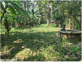 38 cent land with house for sale at near Chithra Hospital, Pathanamthitta