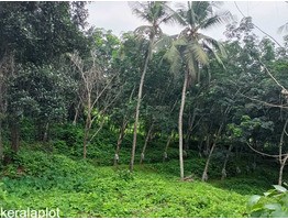 19 acres of land for sale at Karkala, Near to Mangalore airport, Karnataka