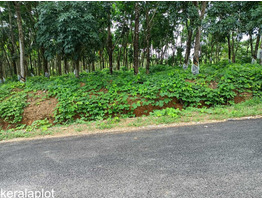 19 acres of land for sale at Karkala, Near to Mangalore airport, Karnataka