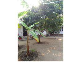 35 cent land with 4500 sqft house for rent at Udayamperoor junction, Eranakulam