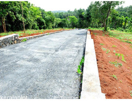 Residential Land for Sale in Palappuram, Ottappalam, Palakkad