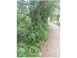 39 cent land with house for sale rajakkad, Idukki