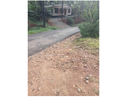 39 cent land with house for sale rajakkad, Idukki