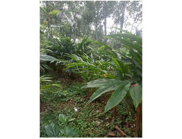 39 cent land with house for sale rajakkad, Idukki