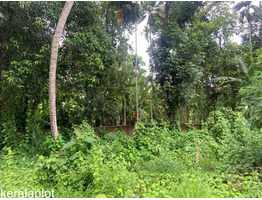 26.25 cent land for sale at nearThiruvalla Revenue Tower,Pathanamthitta