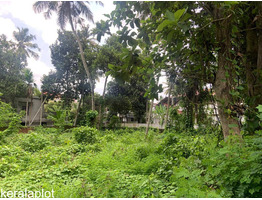 26.25 cent land for sale at nearThiruvalla Revenue Tower,Pathanamthitta