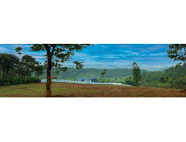 Residential/Comeercial land for sale at Vaduvanchal,  Wayanad