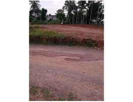 house plots for sale at Appad Road near Govt.High school,Meenagadi,Wayanad