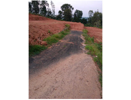 house plots for sale at Appad Road near Govt.High school,Meenagadi,Wayanad