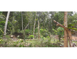 28 cent land for sale near varkkala thiruvanthapuram