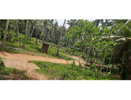 28 cent land for sale near varkkala thiruvanthapuram