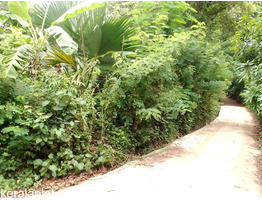 24 cent land for sale at Chelakkara,Thrissur