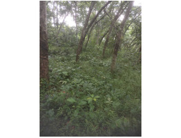 1 acer 4 cent plot for sale at near MC Road Nellimoottil Adoor, Pathanamthitta