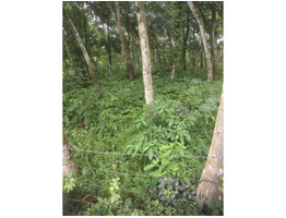 1 acer 4 cent plot for sale at near MC Road Nellimoottil Adoor, Pathanamthitta